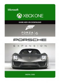 Forza Motorsport 6 Porsche Expansion art head