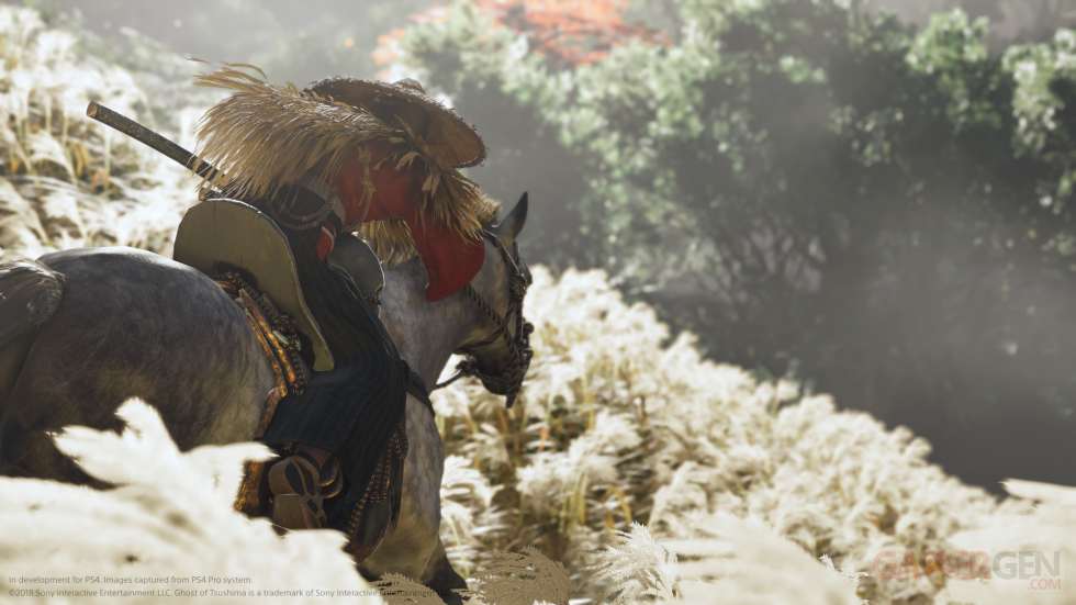 Ghost of Tsushima image (4)