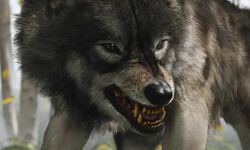 Ghost of Yotei 13 25 09 2024