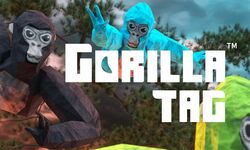 Gorilla TAG en français