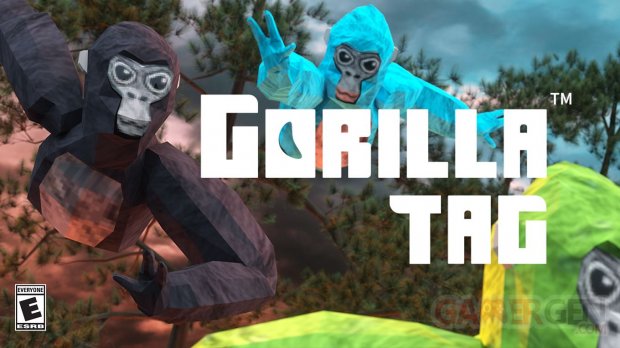Gorilla TAG en français