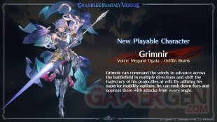 Granblue Fantasy Versus Rising 02 04 08 2023