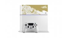 Gravity Rush Remastered PS4 collector coque (1)