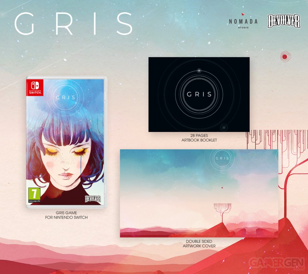 GRIS physique boîte artbook jaquette switch.