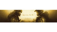 Halo-5-Guardians_06-10-2015_gold-banner
