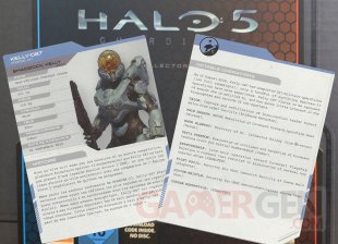 Halo 5 Guardians Fche Kelly 087