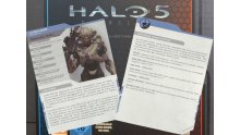 Halo 5 Guardians Fche Linda-058