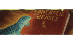 harry potter les animaux fantastiques