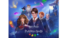 Harry Potter Puzzles & Spells Artwork