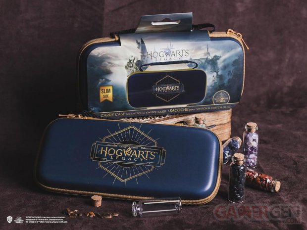 Harry Potter   Sacoche slim pour Switch et Switch Oled   Hogwarts Legacy