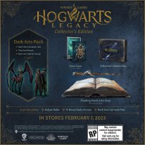Hogwarts Legacy Héritage de Poudlard édition collector PlayStation 14 09 2022
