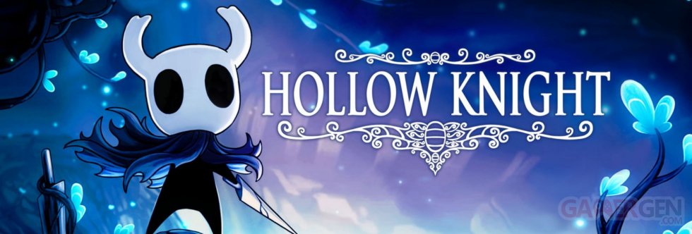 Hollow Knight image