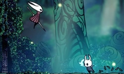 Hollow Knight Nintendo Switch 2 Edition vignette 05 02 2026
