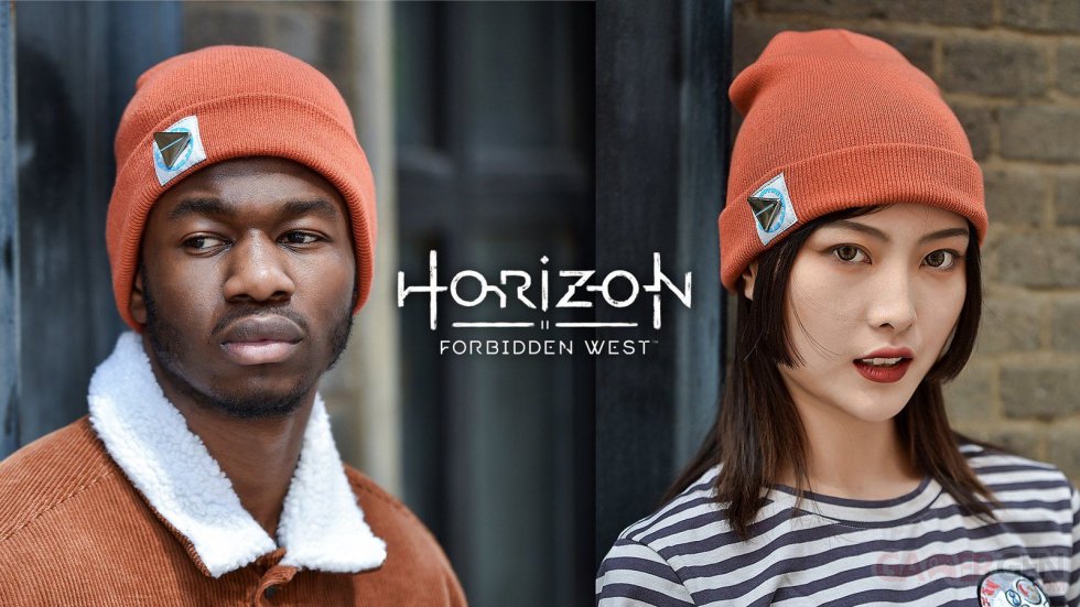 Horizon-Forbidden-West-Insert-Coin-01-10-07-2020