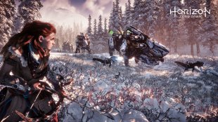 Horizon Zero Dawn 20 06 2016 screenshot (2)