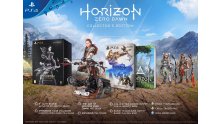 Horizon Zero Dawn Collector