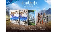 Horizon-Zero-Dawn_édition-spéciale