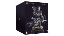 horizon-zero-dawn-edition-collector-ps4-4802