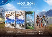 Horizon Zero Dawn édition spéciale