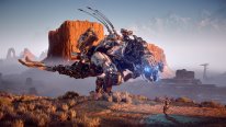 Horizon Zero Dawn images (14)