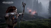 Horizon Zero Dawn images (2)