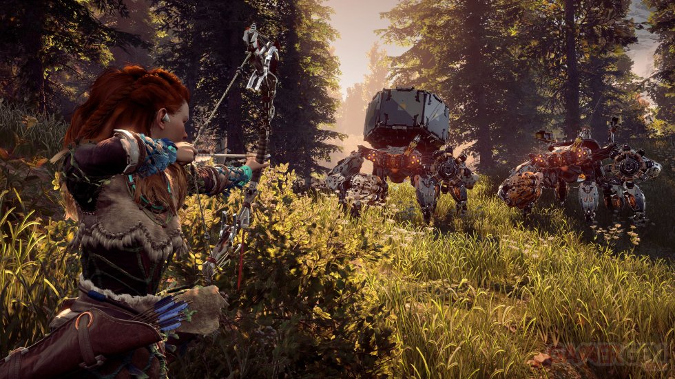 Horizon Zero Dawn images (7)