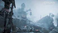 Horizon Zero Dawn images (8)