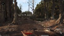 Hunt Showdown PC Master Race Beta fermée (55)