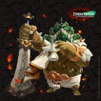Hyrule Warriors Les Chroniques du Sceau 15 24 10 2025
