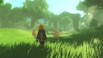 Hyrule Warriors  Les Chroniques du Sceau (2)