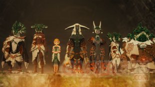 Hyrule Warriors  Les Chroniques du Sceau (8)