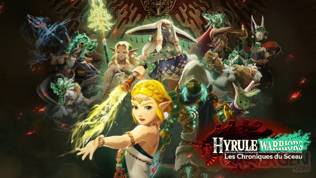 Hyrule Warriors Les Chroniques du Sceau images test (1)