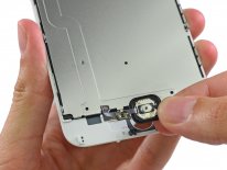 iPhone 6 Plus demontage teardown iFixit  (13)