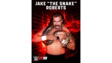 Jake-The-Snake-Roberts