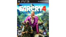 Jaquette PS3 Far Cry 4