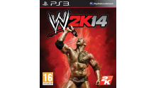 Jaquette PS3 WWE 2K14