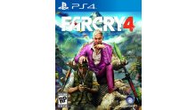 Jaquette PS4 Far Cry 4