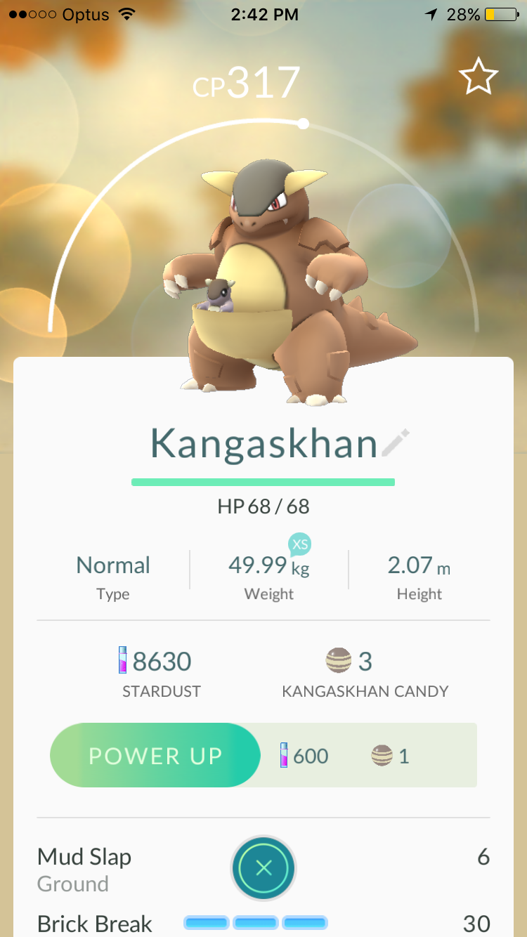 Kangourex-Pokémon-GO