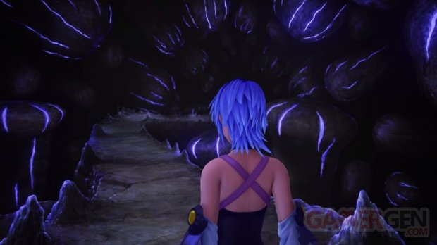 Kingdom Hearts HD II 8 Final Chapter Prologue head