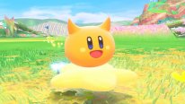 Kirby Air Riders 42 23 10 2025