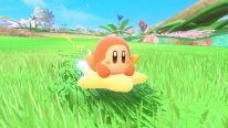 Kirby Air Riders 48 23 10 2025