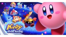 Kirby Star Allies test image
