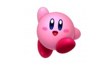 Kirby Triple Deluxe 23.12.2013 (8)