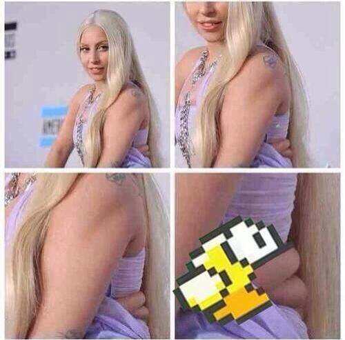 Lady GAGA troll de la semaine