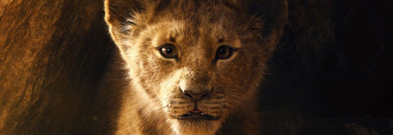 Le Roi Lion image