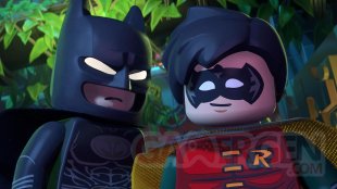 LEGO Batman L'Héritage du Chevalier Noir Batman & Robin