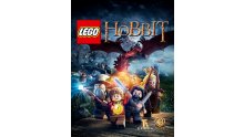 LEGO Le Hobbit artwork