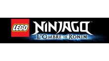 LEGO Ninjago  L'Ombre de Ronin  (12)