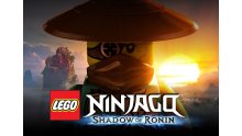 LEGO-Ninjago-Ombre-Shadow-Ronin_05-12-2014_artwork (1)