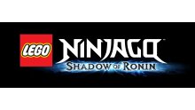 LEGO-Ninjago-Ombre-Shadow-Ronin_05-12-2014_artwork-logo